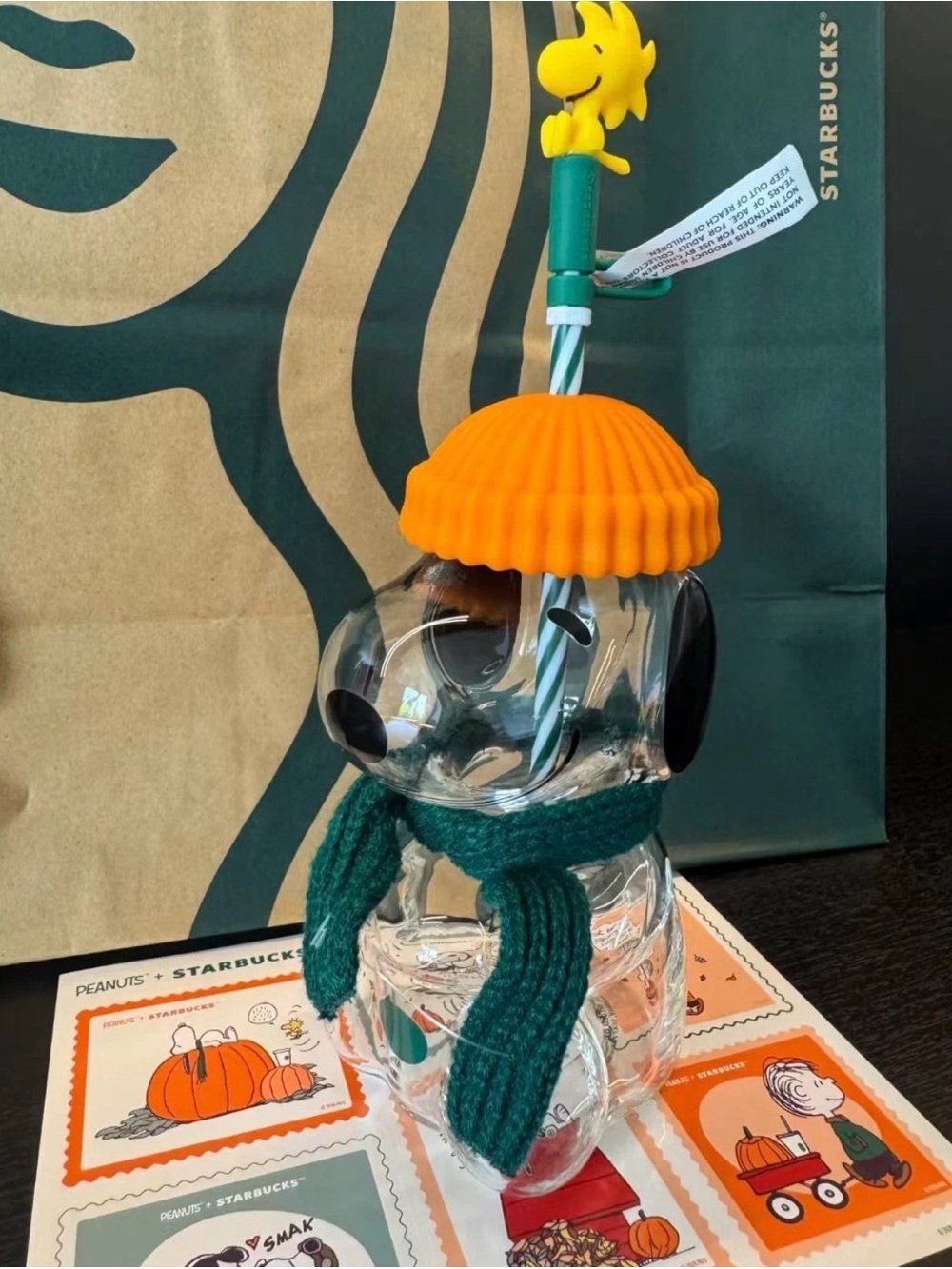 Starbucks X Snoopy Bottle with Orange Beanie and Green Scarf